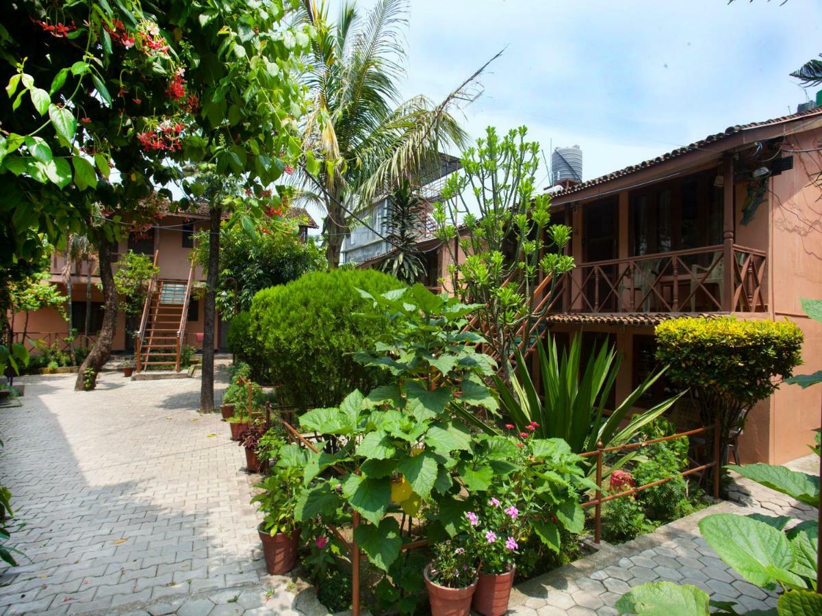 Spot On 486 Hotel Holy Lodge Sauraha Exterior foto